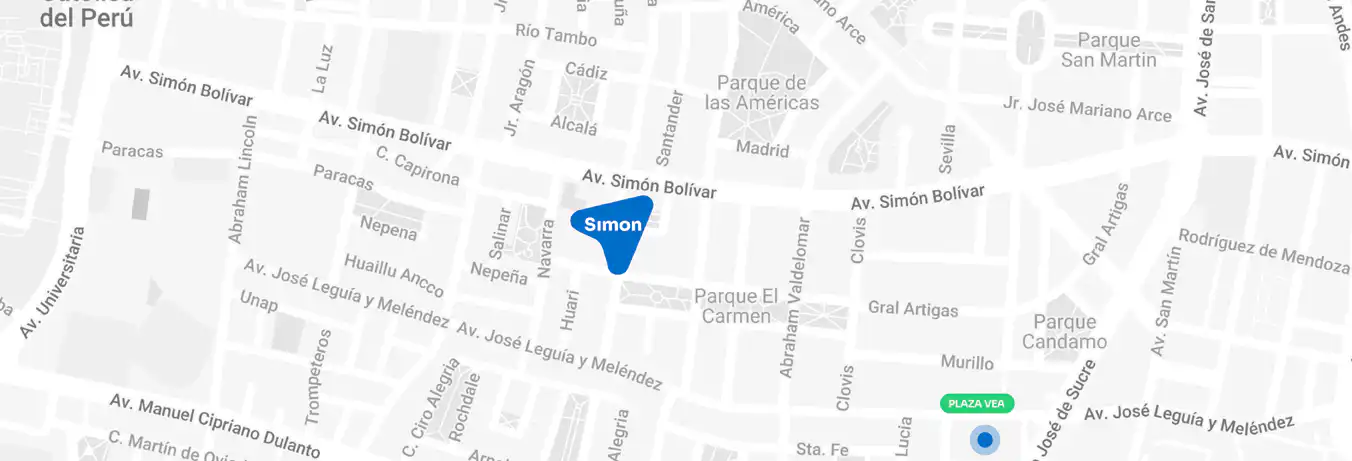 Simón