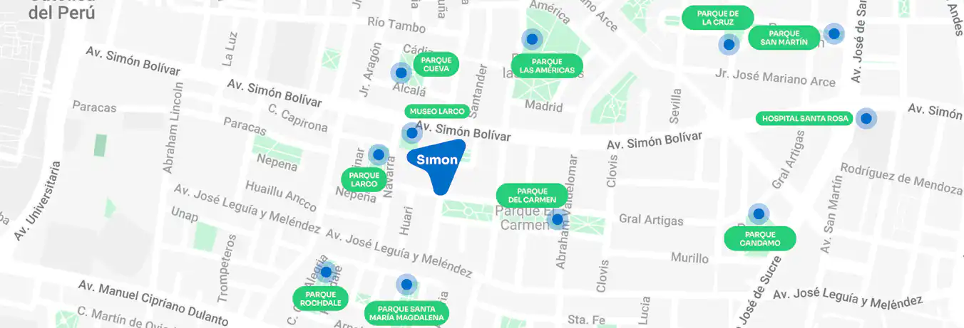 Simón